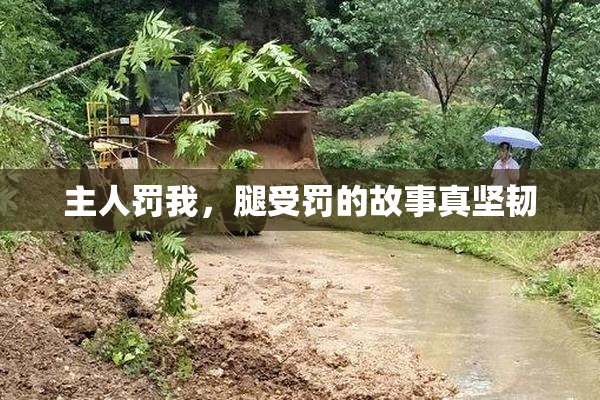 主人罚我，腿受罚的故事真坚韧