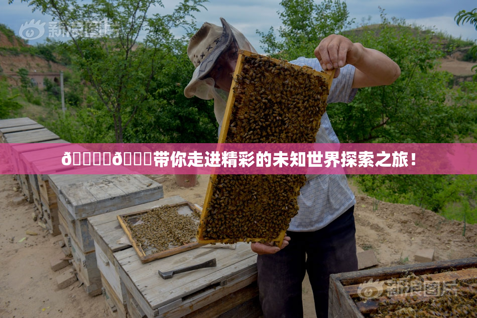 🔞‌🍌带你走进精彩的未知世界探索之旅！