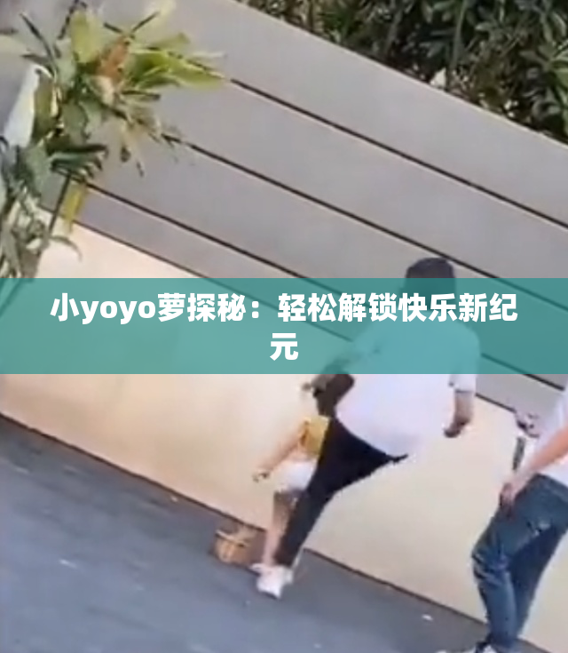 小yoyo萝探秘：轻松解锁快乐新纪元