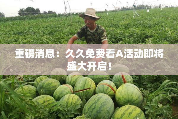 重磅消息：久久免费看A活动即将盛大开启！