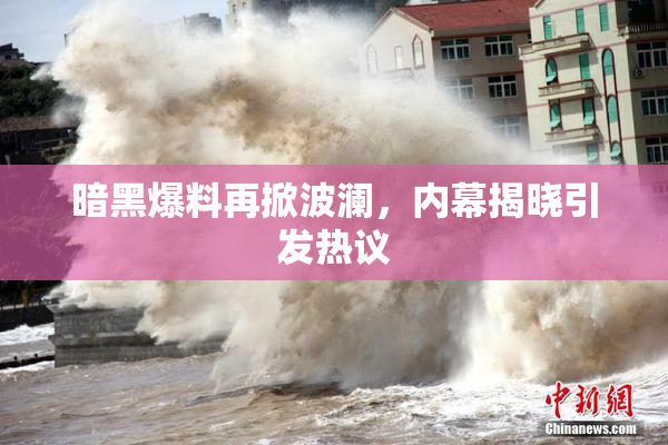 暗黑爆料再掀波澜，内幕揭晓引发热议