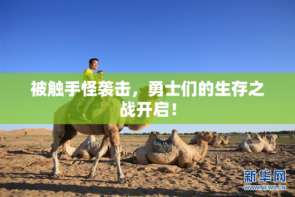 被触手怪袭击，勇士们的生存之战开启！
