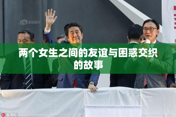 两个女生之间的友谊与困惑交织的故事