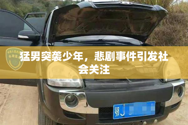 猛男突袭少年，悲剧事件引发社会关注