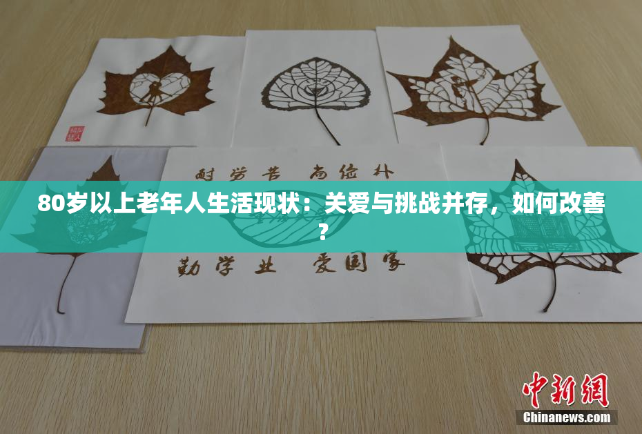 80岁以上老年人生活现状：关爱与挑战并存，如何改善？