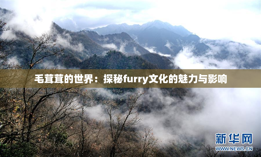 毛茸茸的世界：探秘furry文化的魅力与影响