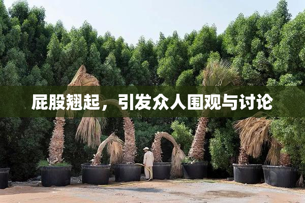 屁股翘起，引发众人围观与讨论