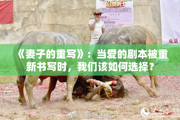 《妻子的重写》：当爱的剧本被重新书写时，我们该如何选择？