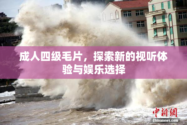 成人四级毛片，探索新的视听体验与娱乐选择
