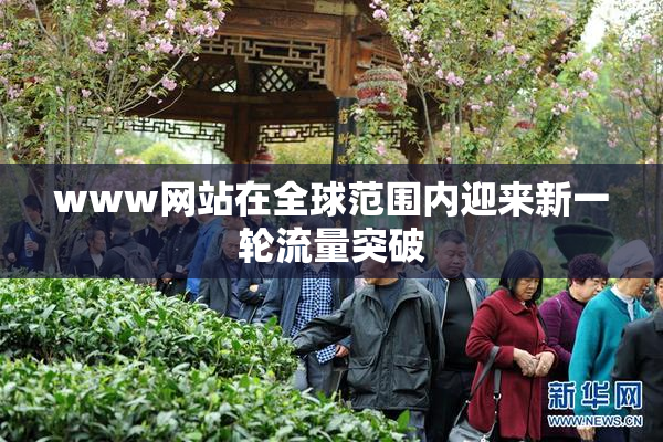 www网站在全球范围内迎来新一轮流量突破