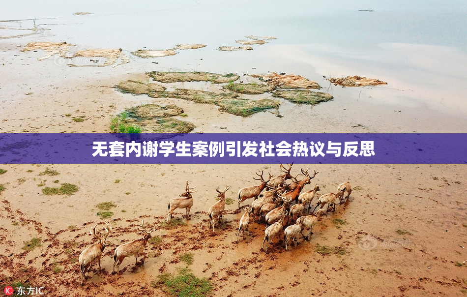 无套内谢学生案例引发社会热议与反思