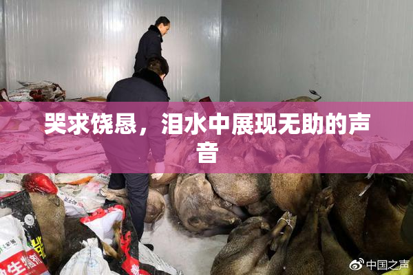 哭求饶恳，泪水中展现无助的声音
