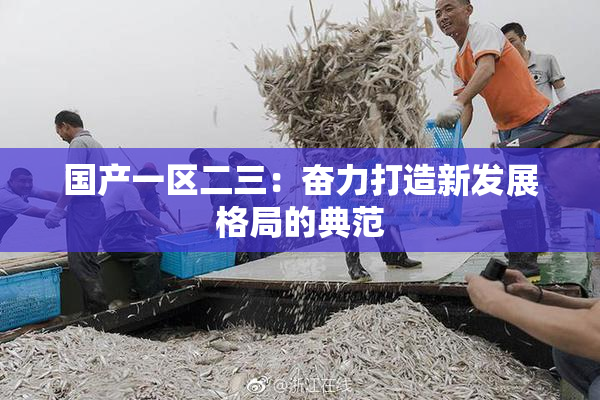 国产一区二三：奋力打造新发展格局的典范