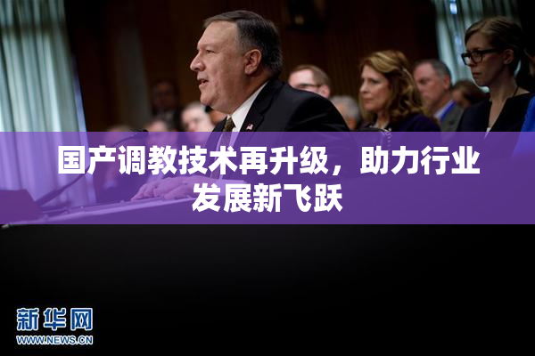 国产调教技术再升级，助力行业发展新飞跃