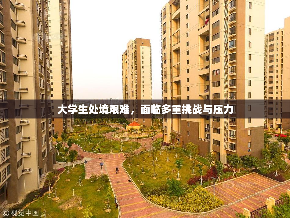 大学生处境艰难，面临多重挑战与压力