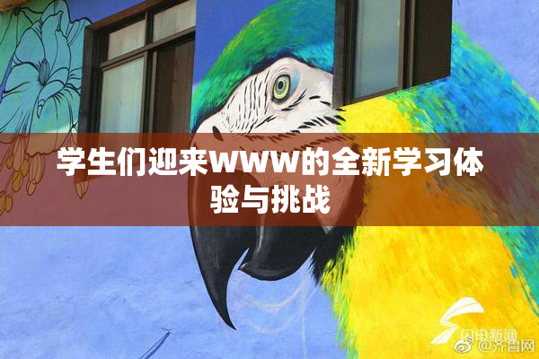 学生们迎来WWW的全新学习体验与挑战