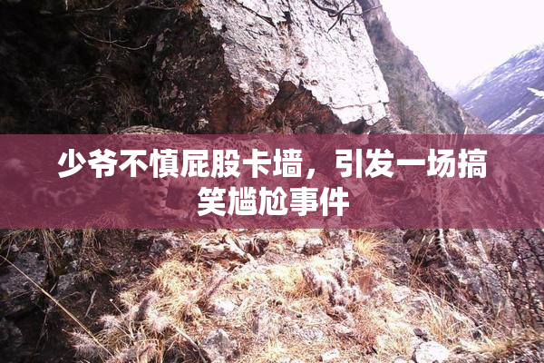 少爷不慎屁股卡墙，引发一场搞笑尴尬事件