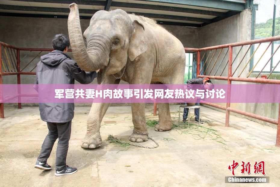 军营共妻H肉故事引发网友热议与讨论