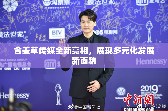 含羞草传媒全新亮相，展现多元化发展新面貌