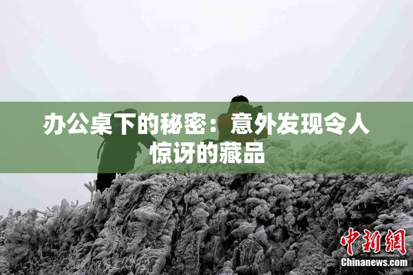 办公桌下的秘密：意外发现令人惊讶的藏品