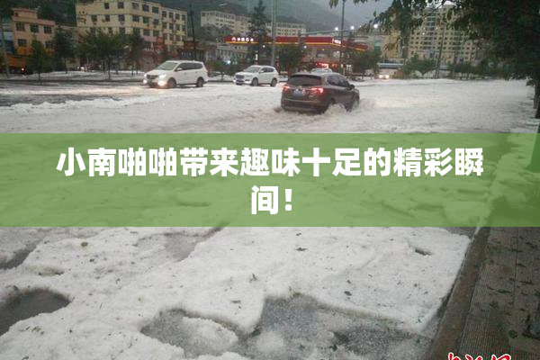 小南啪啪带来趣味十足的精彩瞬间！