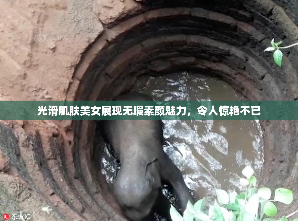 光滑肌肤美女展现无瑕素颜魅力，令人惊艳不已