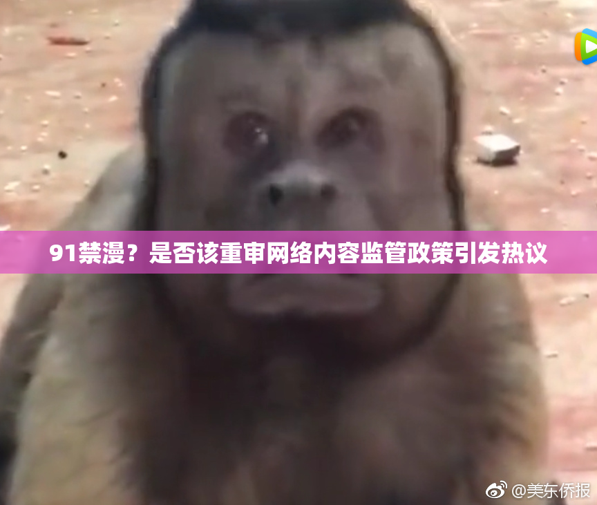 91禁漫？是否该重审网络内容监管政策引发热议