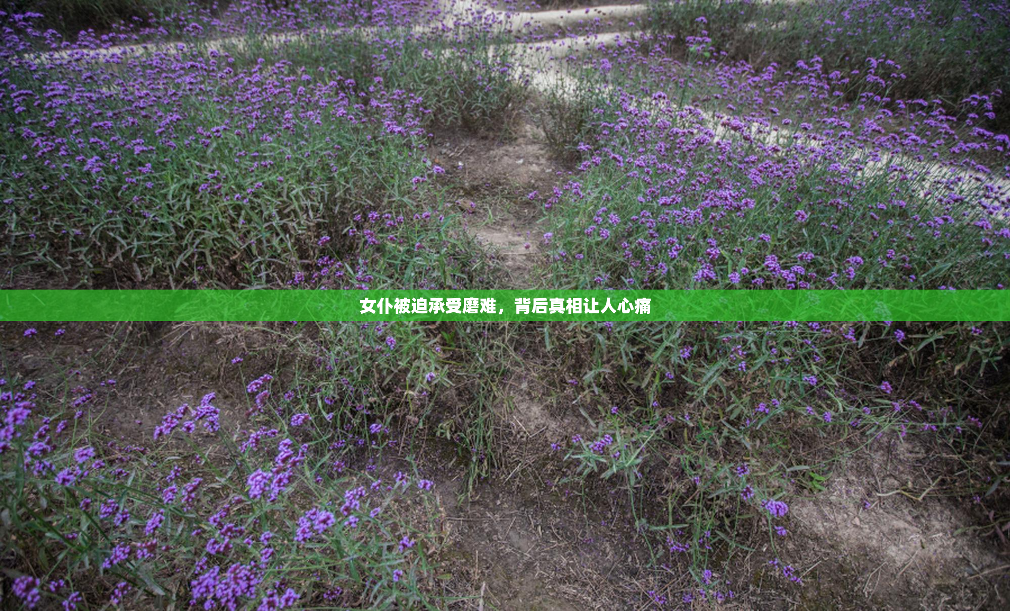 女仆被迫承受磨难，背后真相让人心痛
