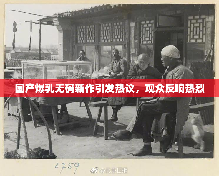 国产爆乳无码新作引发热议，观众反响热烈