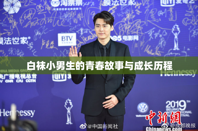白袜小男生的青春故事与成长历程