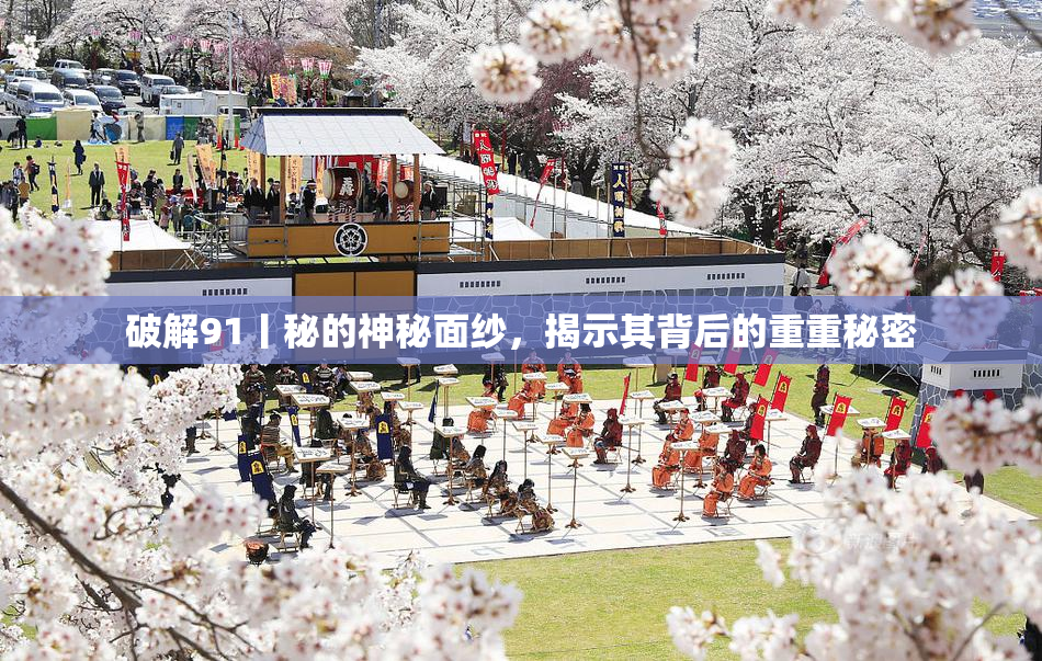 破解91丨秘的神秘面纱，揭示其背后的重重秘密