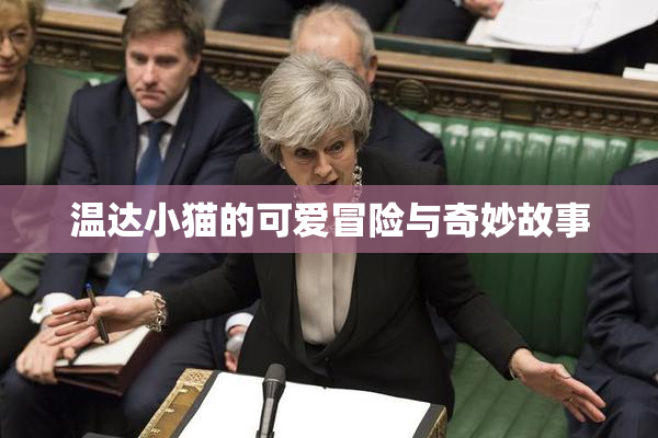 温达小猫的可爱冒险与奇妙故事