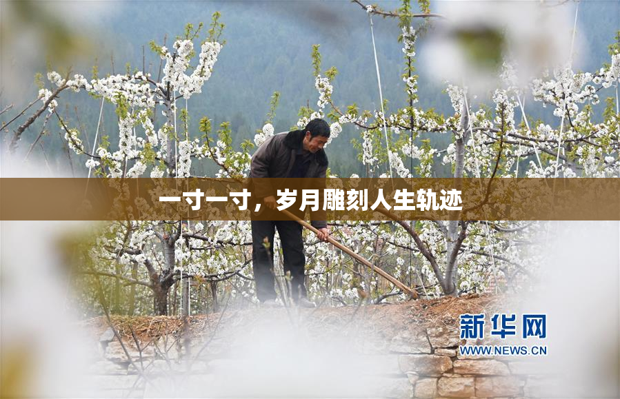 一寸一寸，岁月雕刻人生轨迹