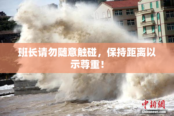 班长请勿随意触碰，保持距离以示尊重！