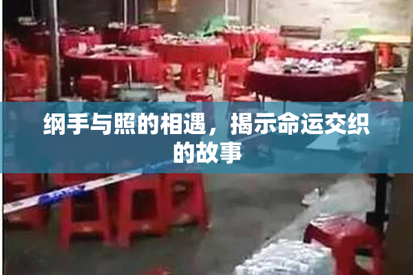 纲手与照的相遇，揭示命运交织的故事