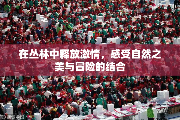 在丛林中释放激情，感受自然之美与冒险的结合