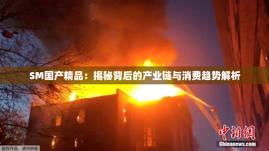 SM国产精品：揭秘背后的产业链与消费趋势解析