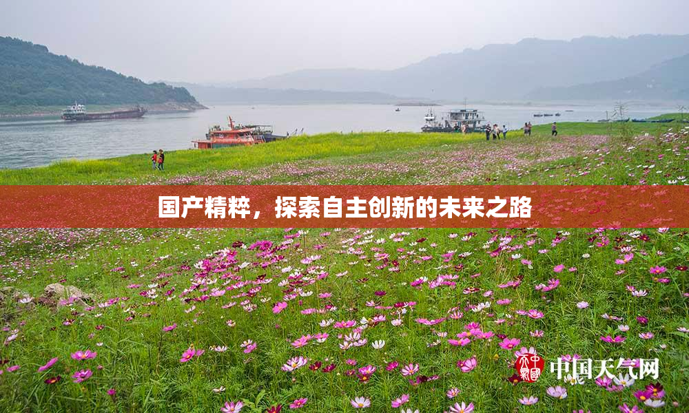 国产精粹，探索自主创新的未来之路