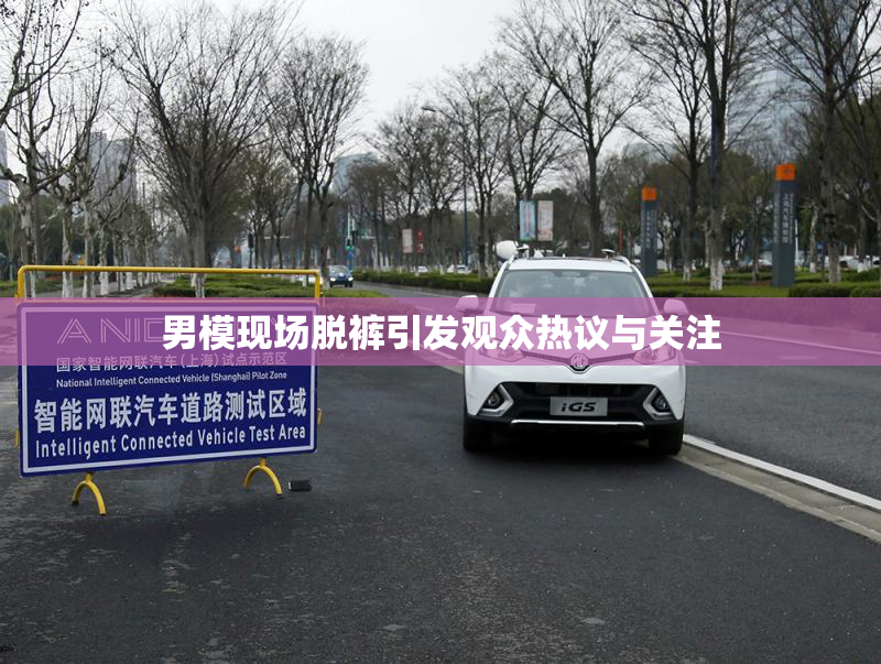 男模现场脱裤引发观众热议与关注