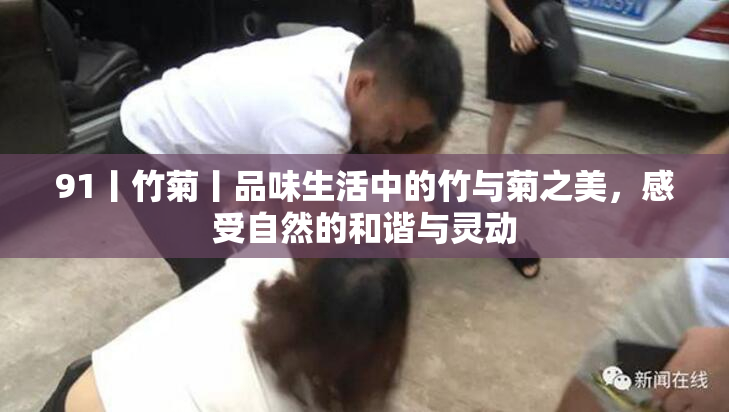 91丨竹菊丨品味生活中的竹与菊之美，感受自然的和谐与灵动