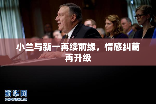 小兰与新一再续前缘，情感纠葛再升级