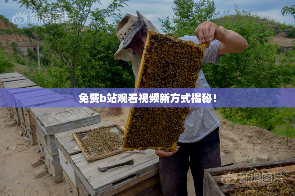 免费b站观看视频新方式揭秘！