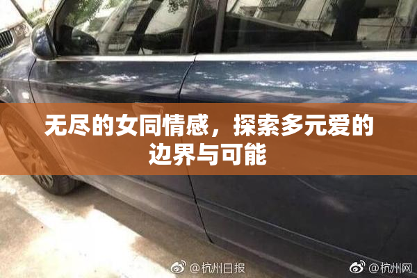无尽的女同情感，探索多元爱的边界与可能
