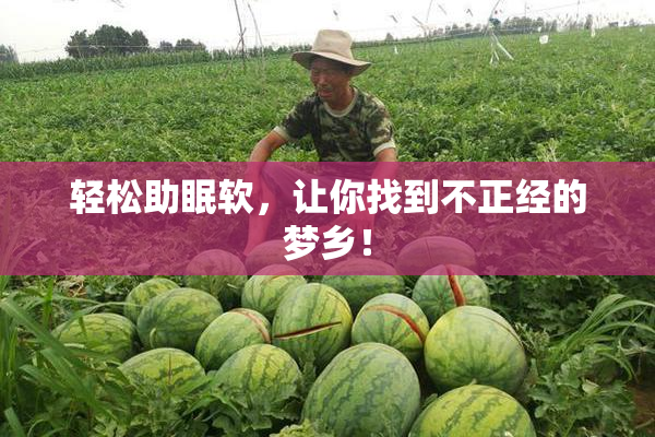 轻松助眠软，让你找到不正经的梦乡！