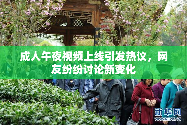 成人午夜视频上线引发热议，网友纷纷讨论新变化