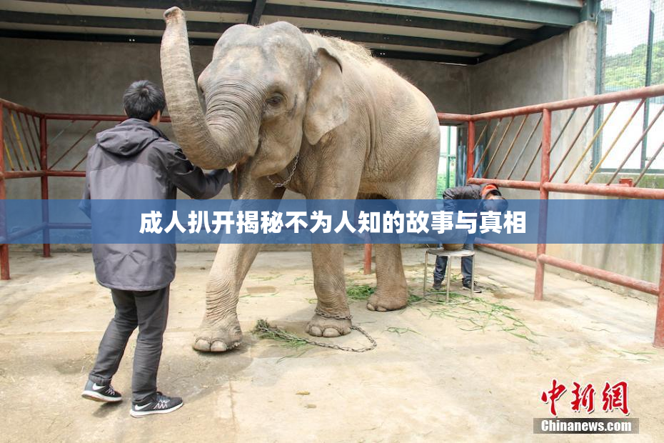 成人扒开揭秘不为人知的故事与真相