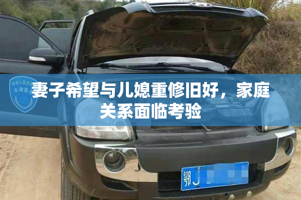 妻子希望与儿媳重修旧好，家庭关系面临考验
