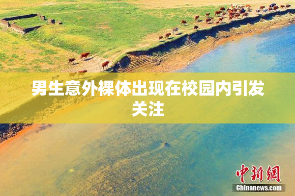 男生意外裸体出现在校园内引发关注