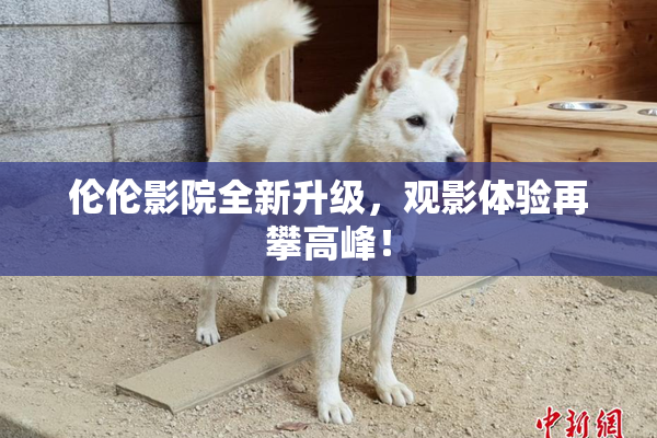 伦伦影院全新升级，观影体验再攀高峰！