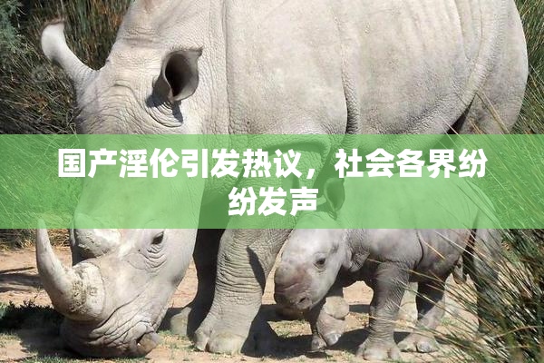 国产淫伦引发热议，社会各界纷纷发声